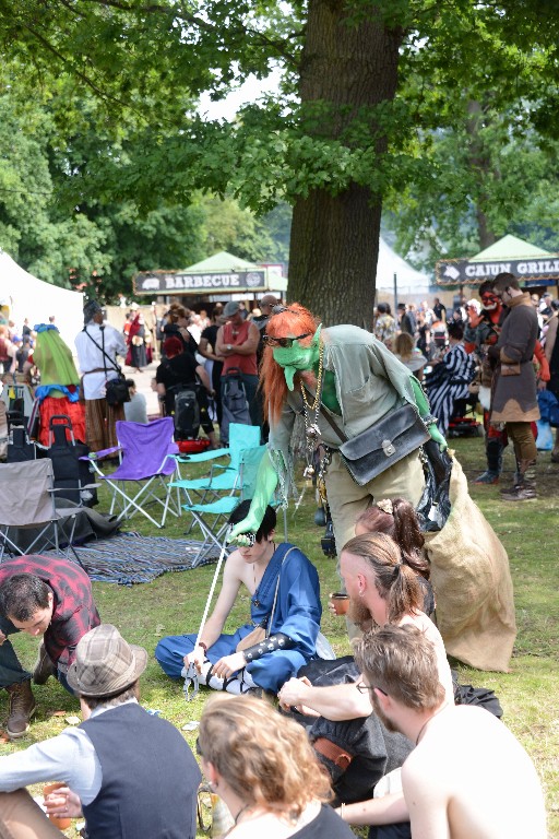 ../Images/Zaterdag Castlefest 2015 098.jpg